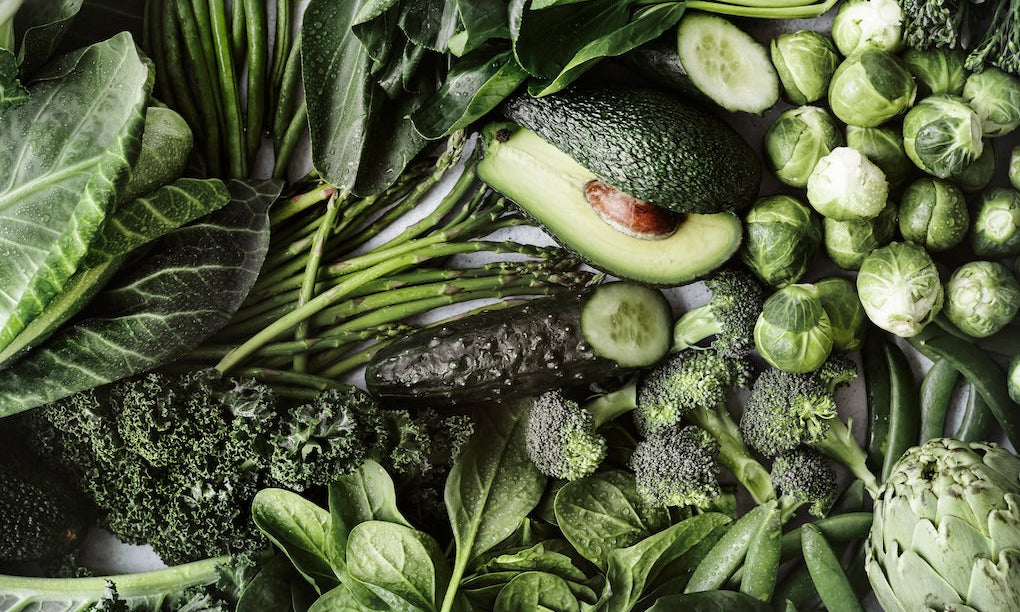 Chlorophyll und Rotlichtlampe - das Power Duo auf das wir gewartet haben?